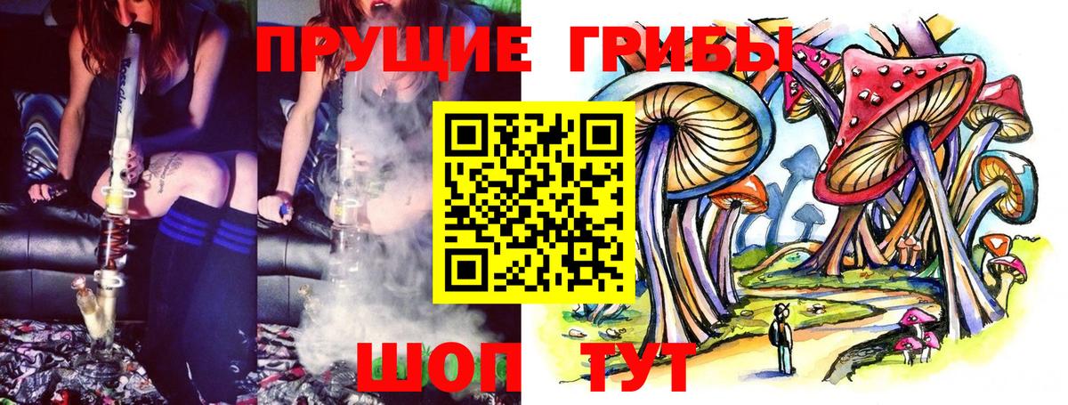 Галлюциногенные грибы Cubensis Горячий Ключ